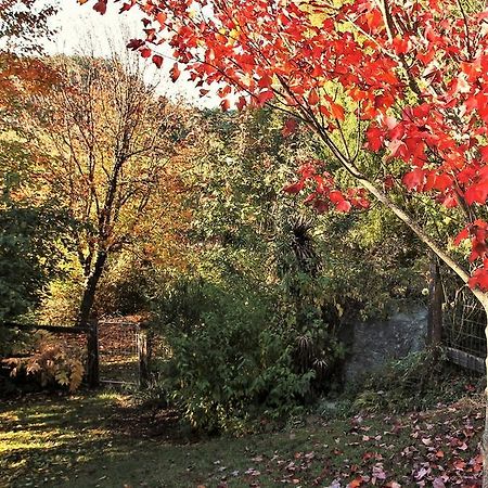 Mole Creek Guesthouse 외부 사진