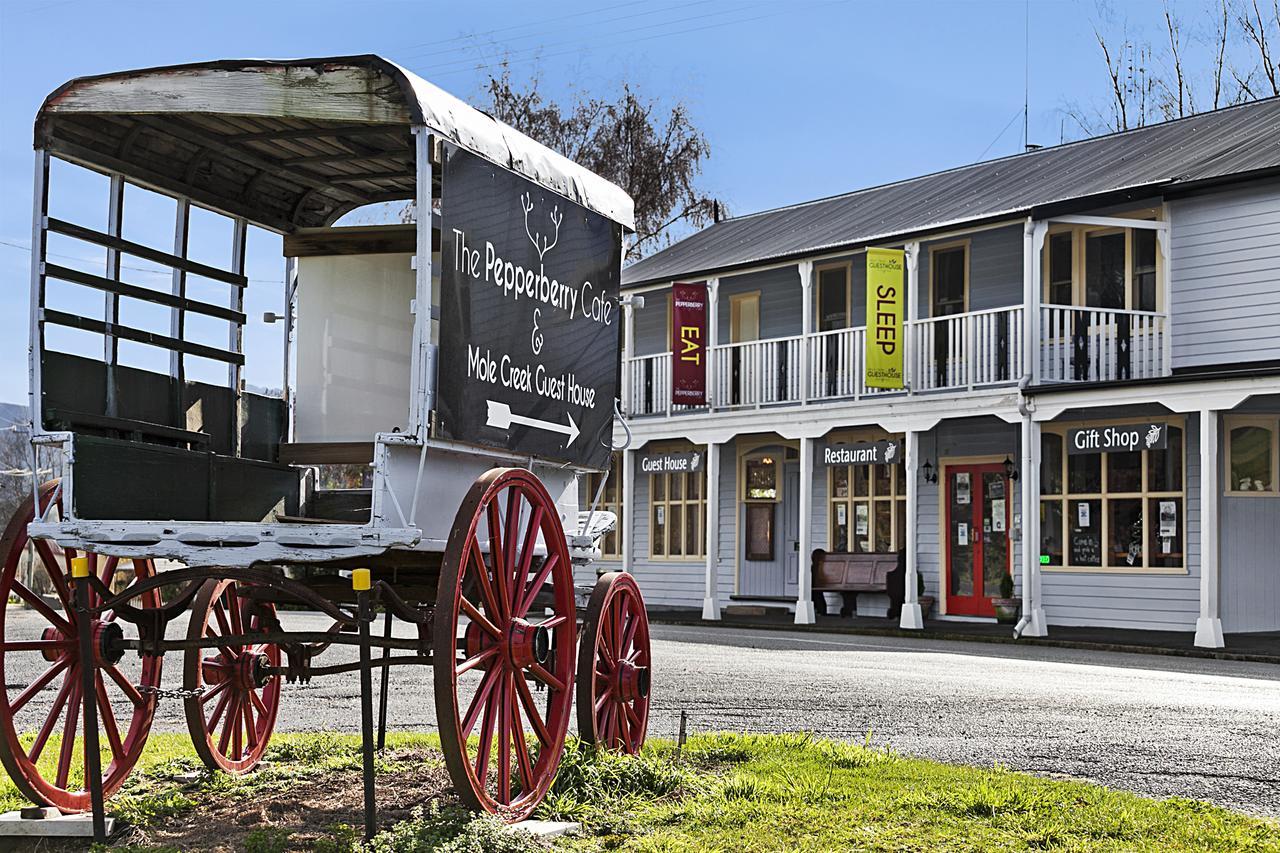 Mole Creek Guesthouse 외부 사진