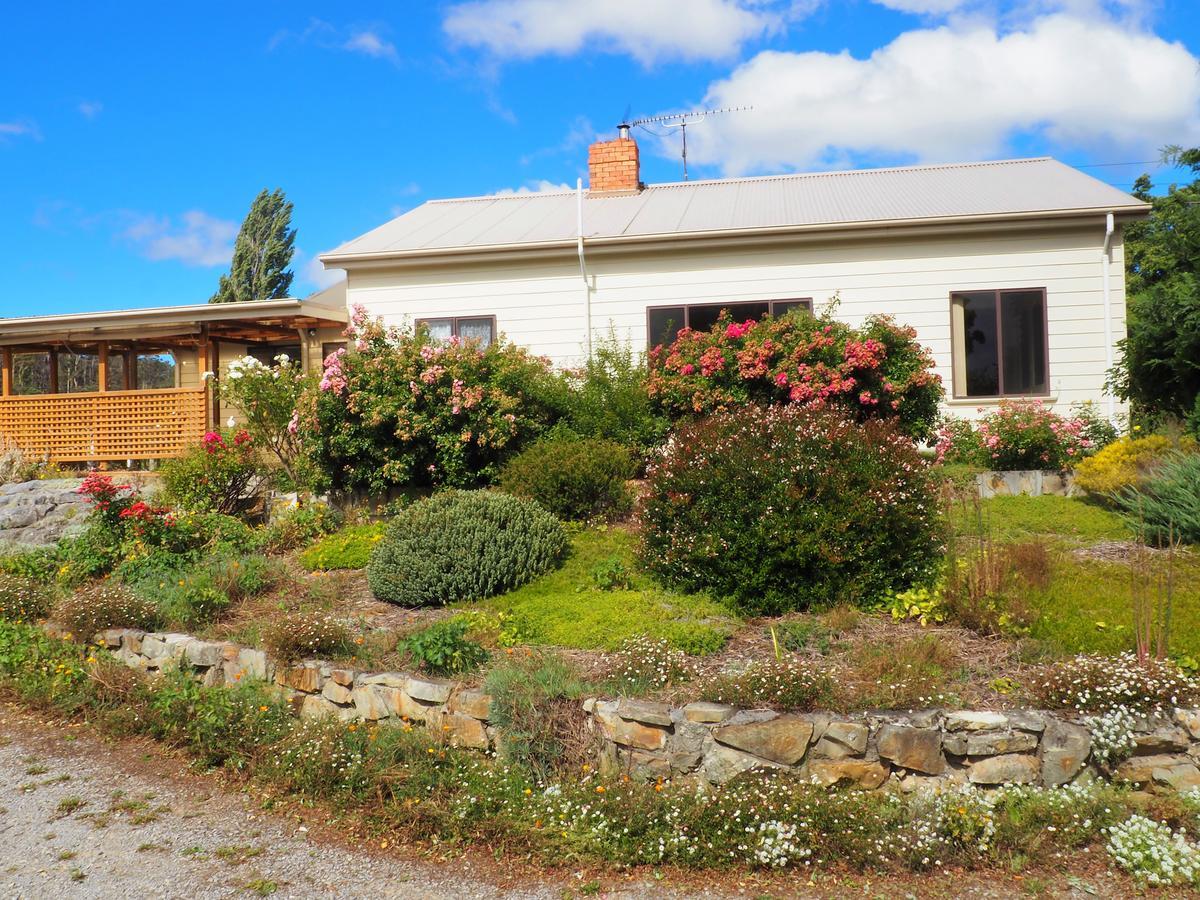 Mole Creek Guesthouse 외부 사진