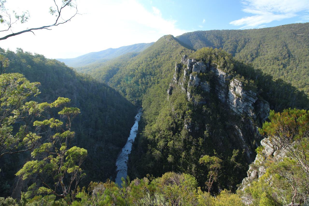 Mole Creek Guesthouse 외부 사진
