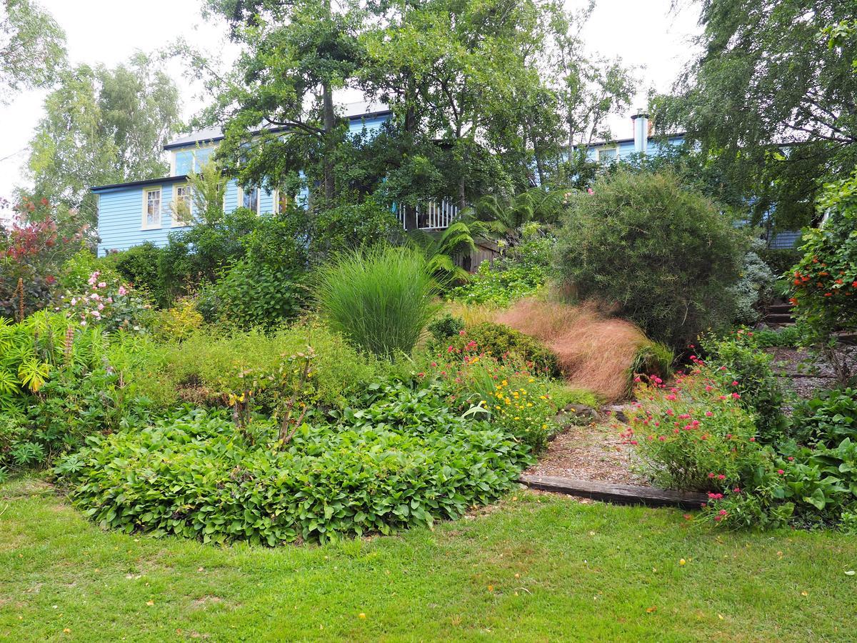 Mole Creek Guesthouse 외부 사진