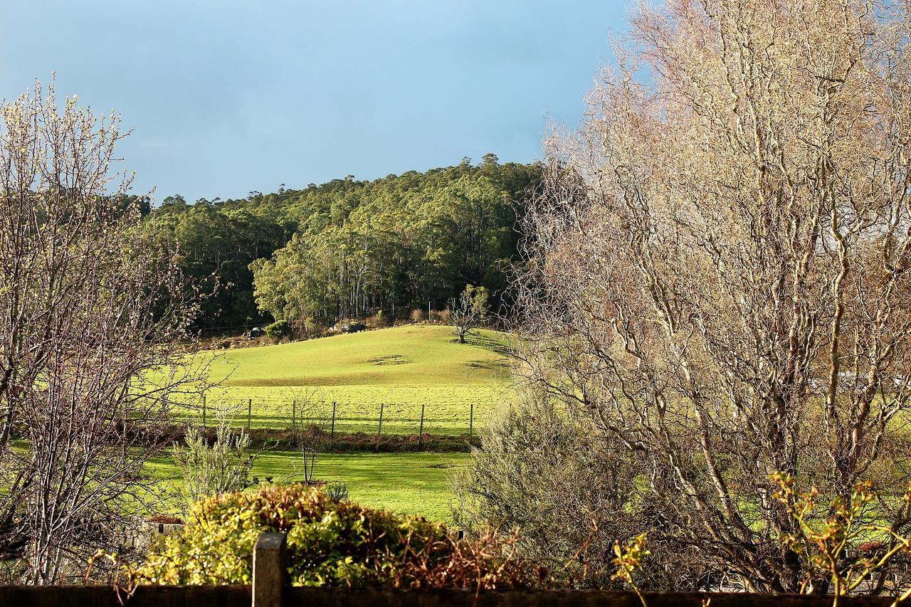 Mole Creek Guesthouse 외부 사진