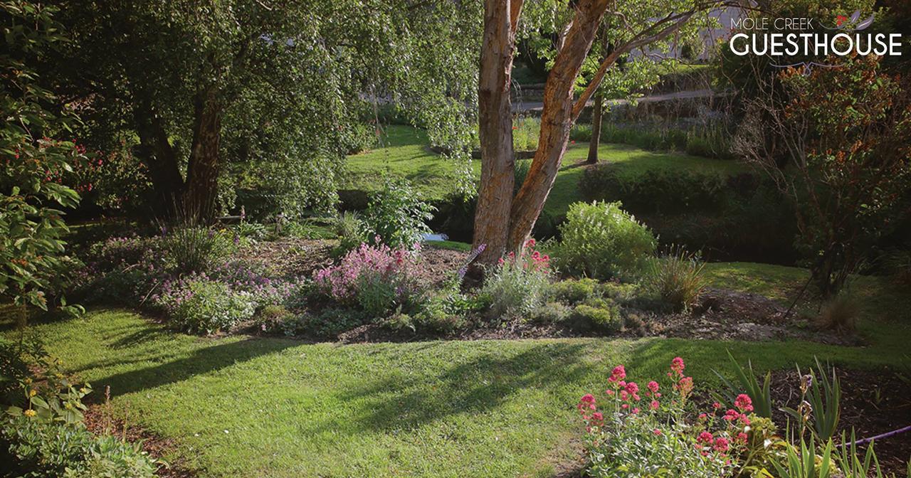 Mole Creek Guesthouse 외부 사진