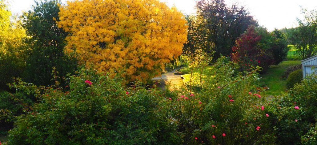 Mole Creek Guesthouse 외부 사진