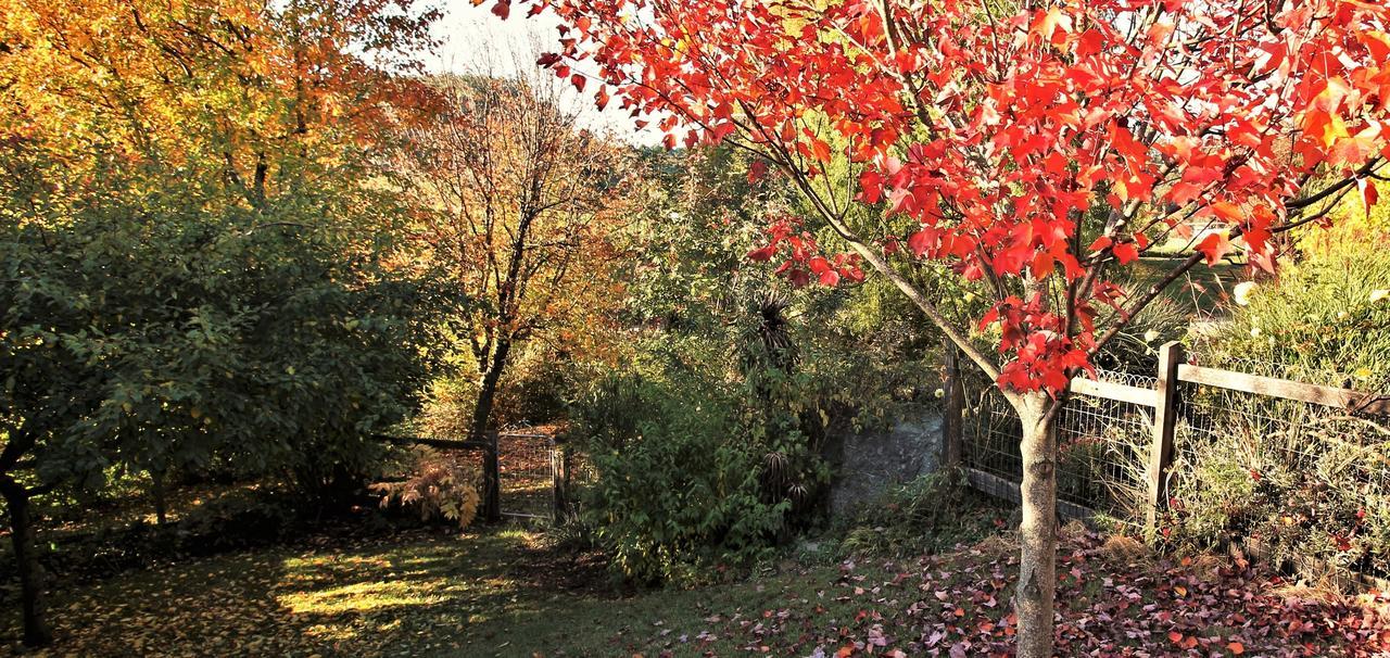 Mole Creek Guesthouse 외부 사진